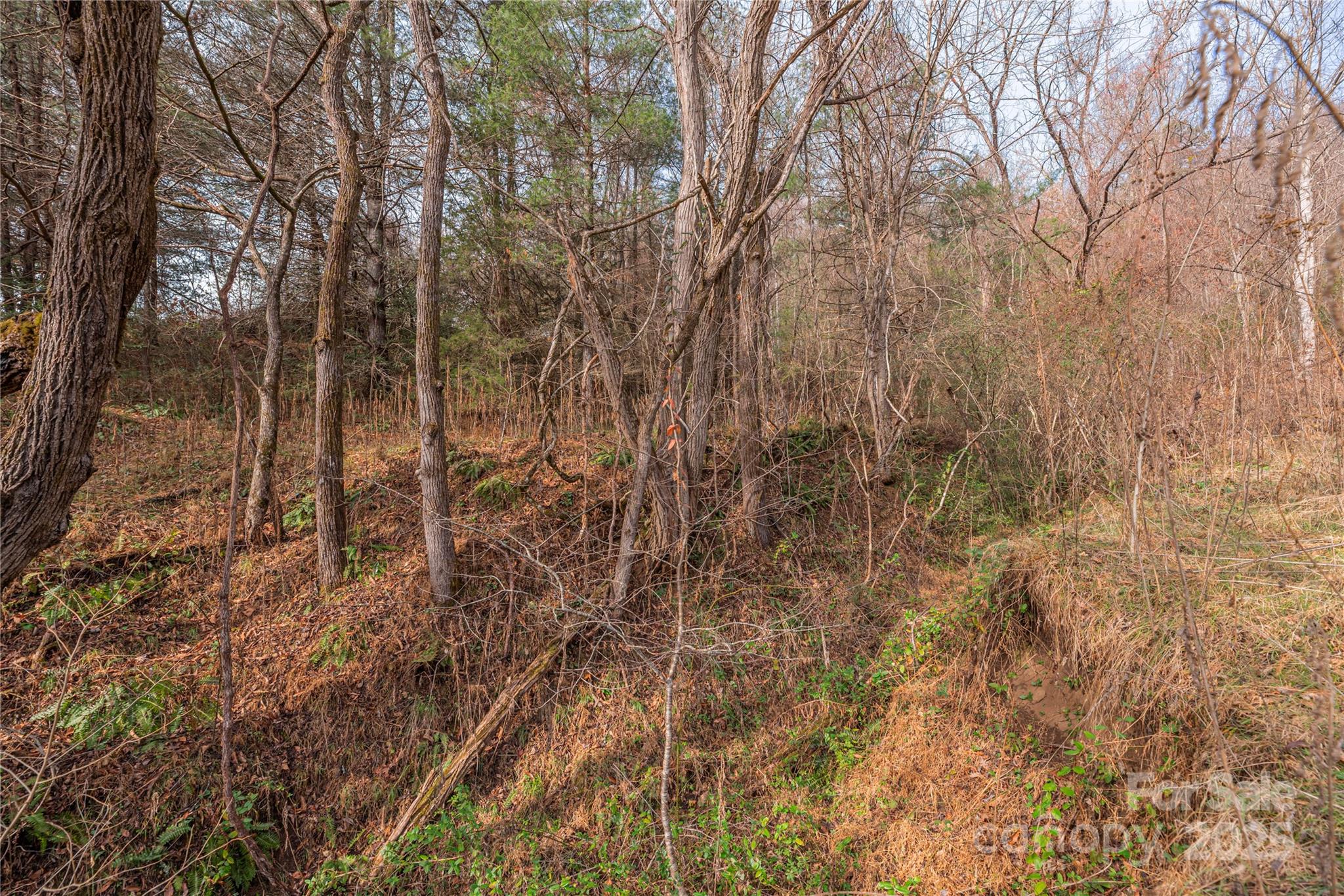 0 Hooper Cemetery Road, Unit 31 Cullowhee, NC 28723 - Photo 13 of 21