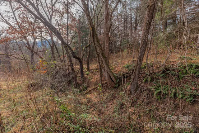 $53,500 | 0 Hooper Cemetery Road, Unit 31, Cullowhee, NC 28723