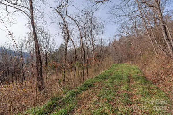 $53,500 | 0 Hooper Cemetery Road, Unit 31, Cullowhee, NC 28723