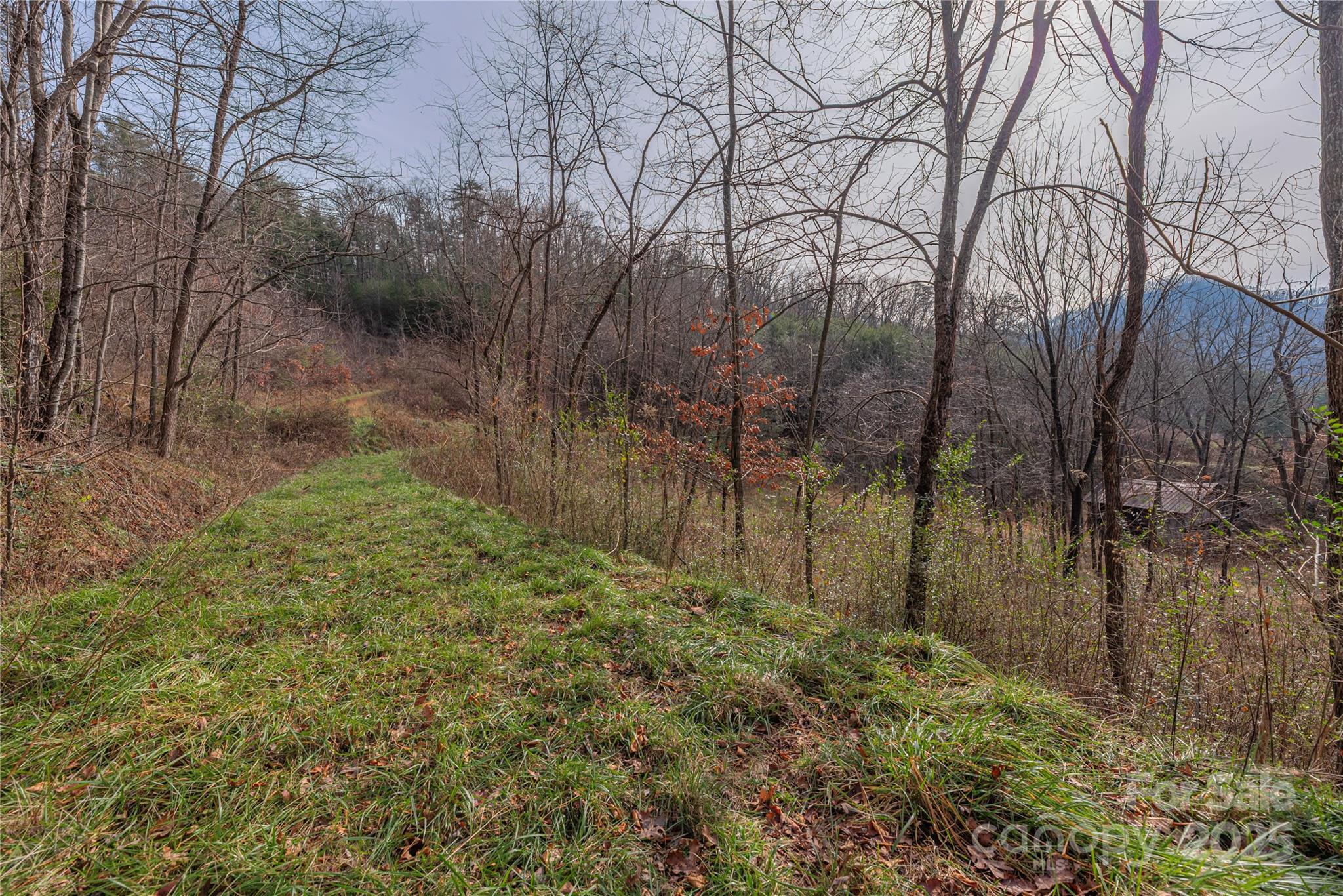 0 Hooper Cemetery Road, Unit 31 Cullowhee, NC 28723 - Photo 8 of 21