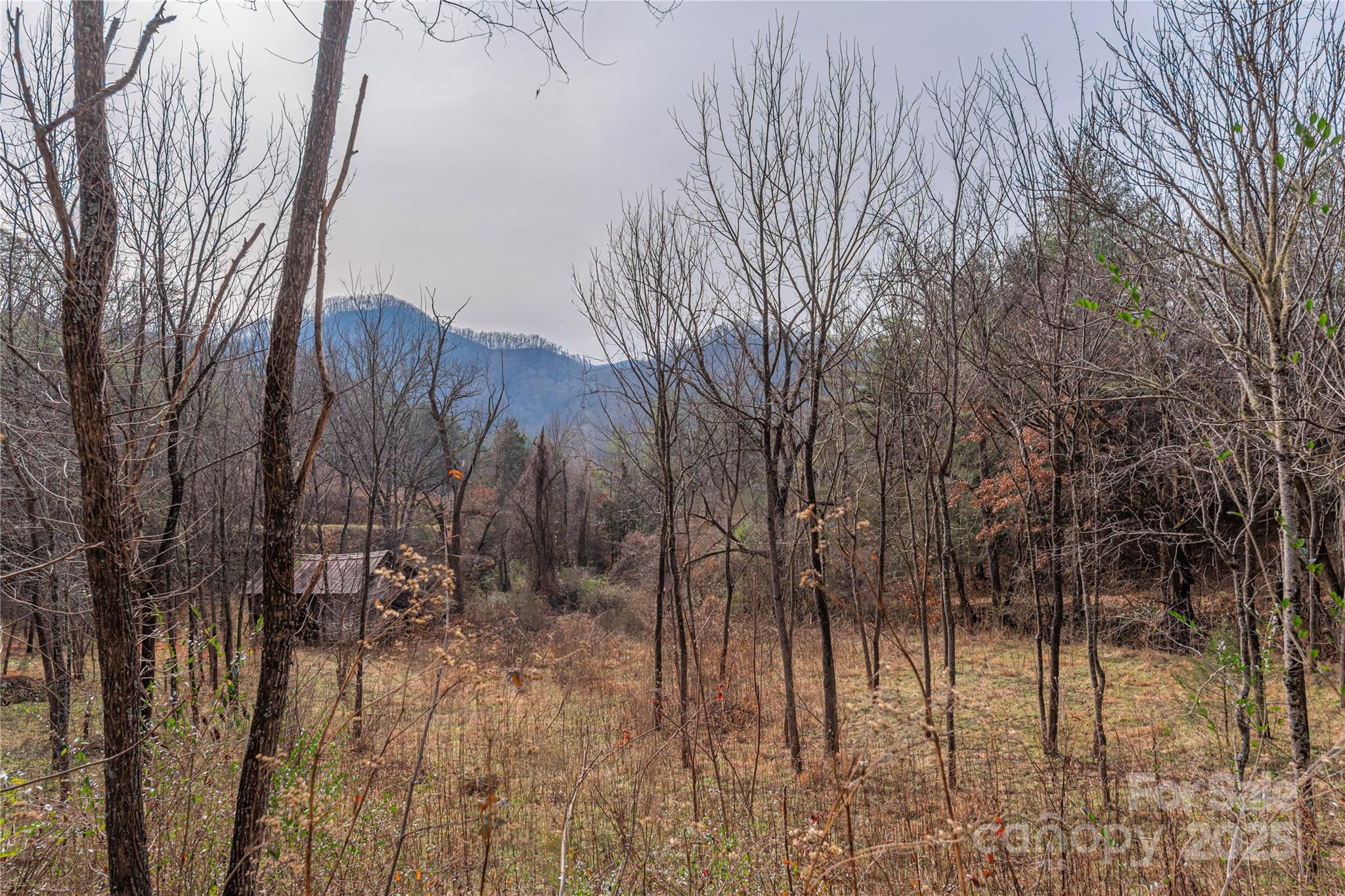 0 Hooper Cemetery Road, Unit 31 Cullowhee, NC 28723 - Photo 9 of 21