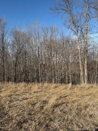 $169,900 | 108 Highway 108, Dent, MN 56528