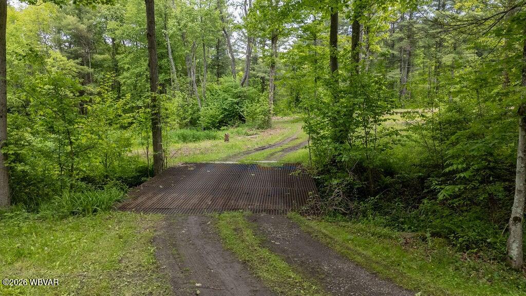 511 Steam Mill Road Wellsboro, PA 16901 - Photo 28 of 50 Gallery Image 28