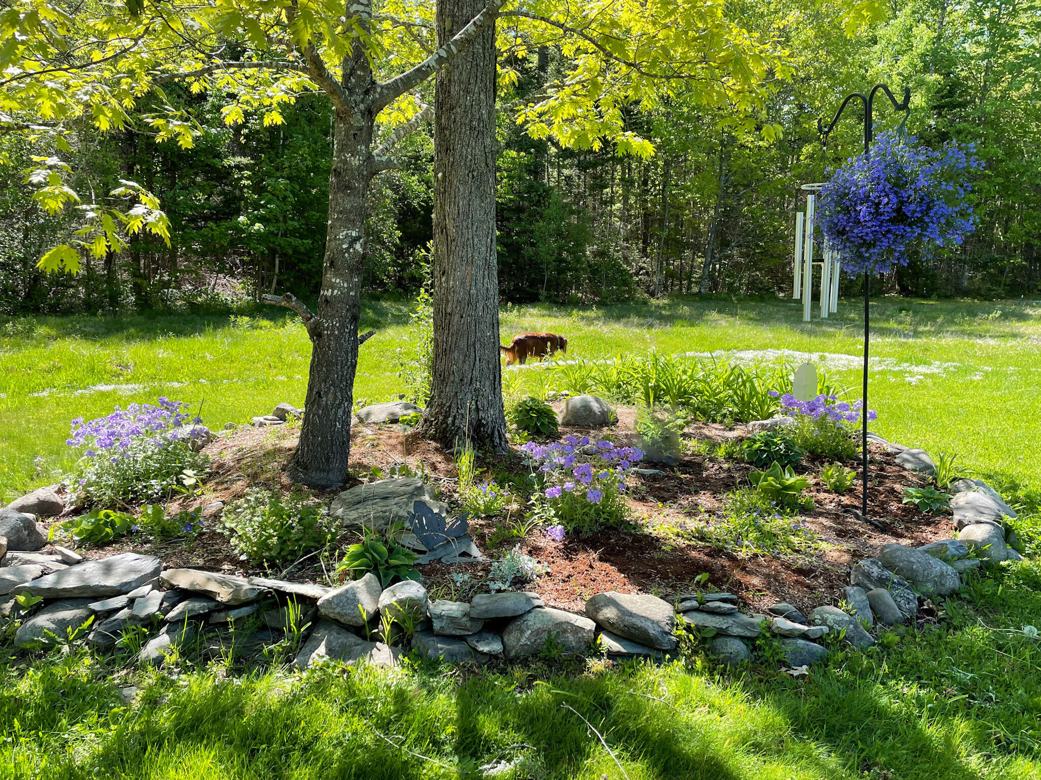 623 Meadow Road Hampden, ME 04444 - Photo 37 of 39 64364386094__4545677F-8F28-4F77-A312-838