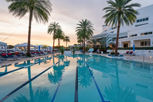 a lake view with palm trees