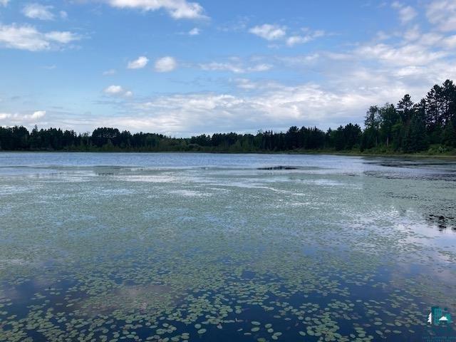 11919 Luna Lake Road Side Lake, MN 55781 - Photo 13 of 23