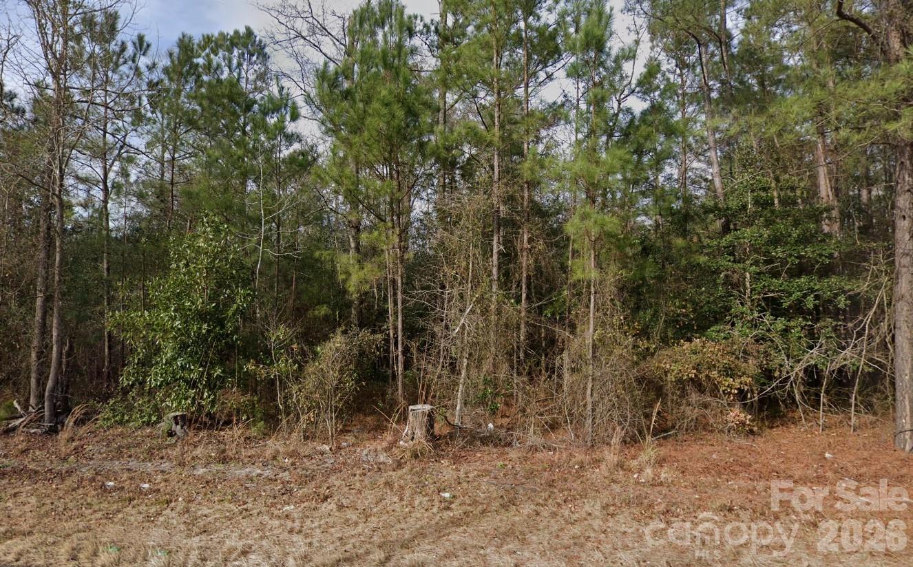 4233 Mount Misery Road Northeast Leland, NC 28451 - Photo 2 of 6 a view of a forest with trees in the background