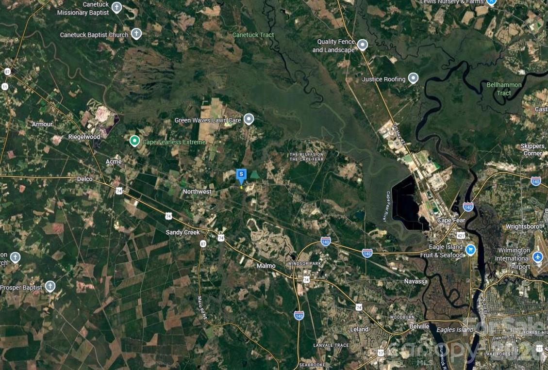 4233 Mount Misery Road Northeast Leland, NC 28451 - Photo 5 of 6 a picture of tree