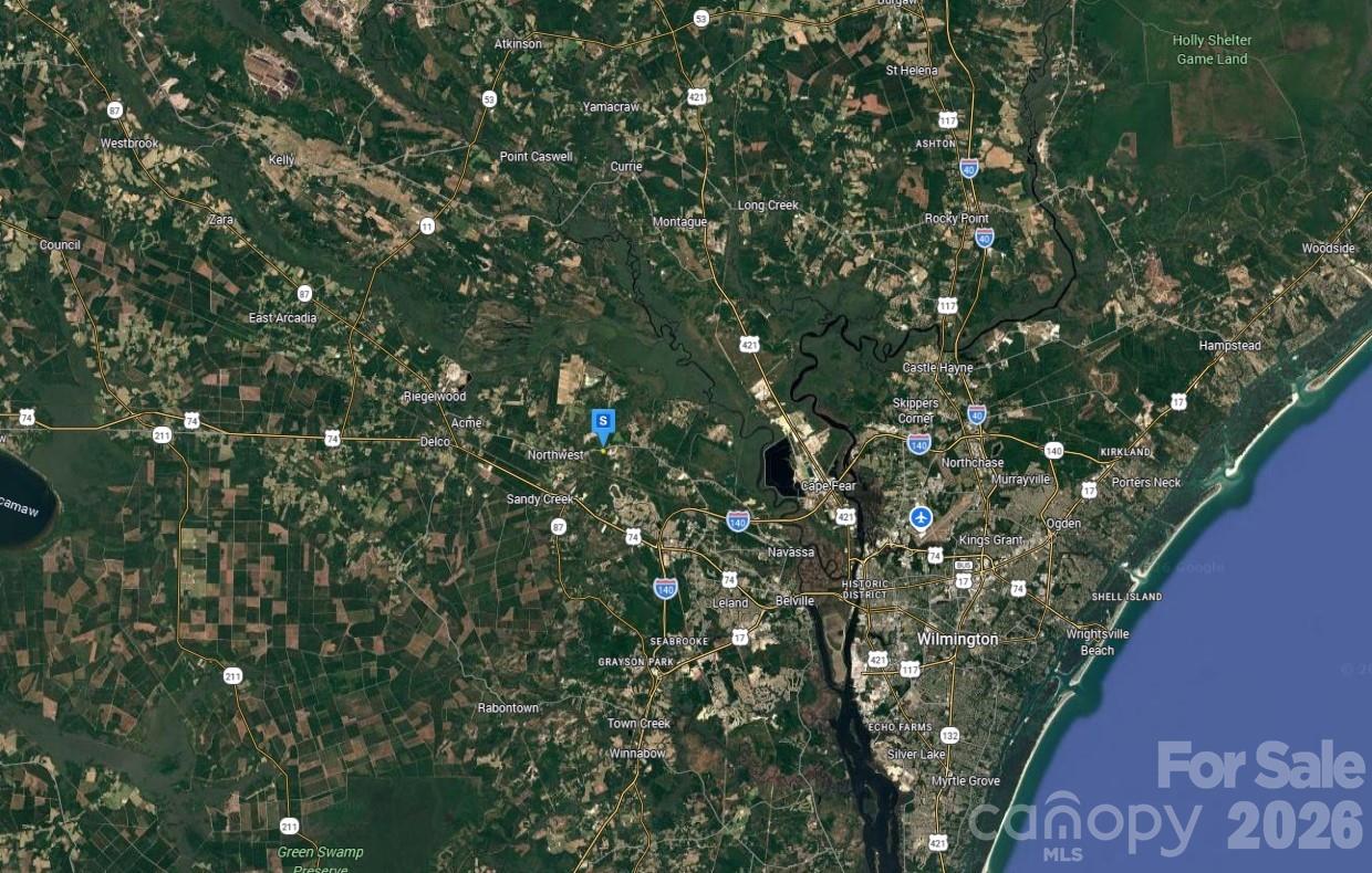 4233 Mount Misery Road Northeast Leland, NC 28451 - Photo 6 of 6 a picture of tree