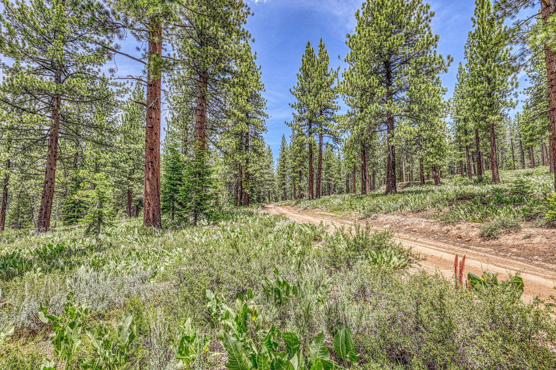 16145 Martis Peak Road Truckee, CA 96161 - Photo 10 of 21