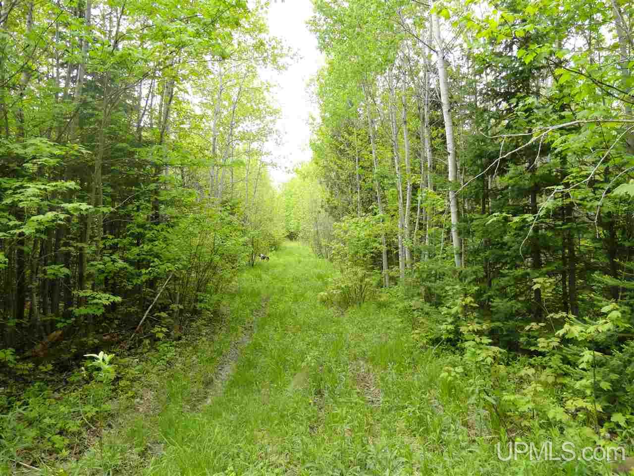 2 Rd Rock Mi 49880 Road Rock, MI 49880 - Photo 8 of 39