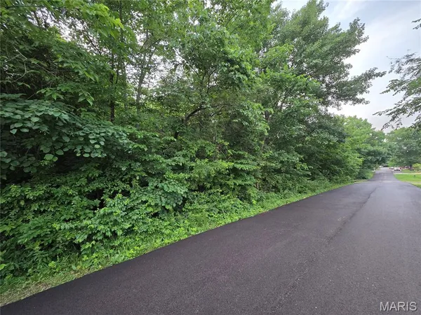 $13,000 | 0 West Lakeview Drive, De Soto, MO 63020