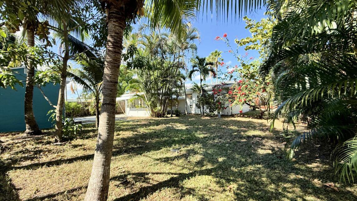 802 Lytle Street West Palm Beach, FL 33405 - Photo 24 of 29 Huge yard with Beautiful Trees.1