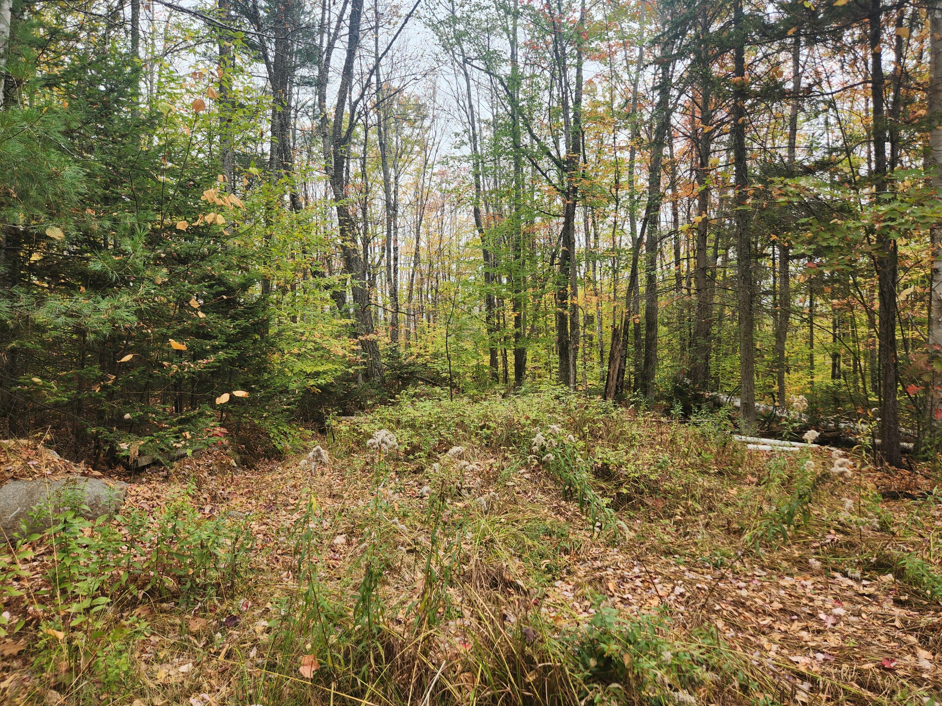 1060 Foster Hill Road Strong, ME 04983 - Photo 17 of 22 20251013_123548