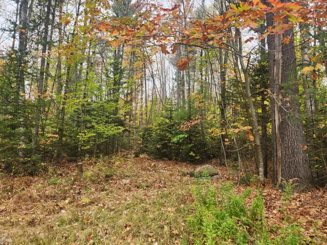 $80,000 | 1060 Foster Hill Road, Strong, ME 04983