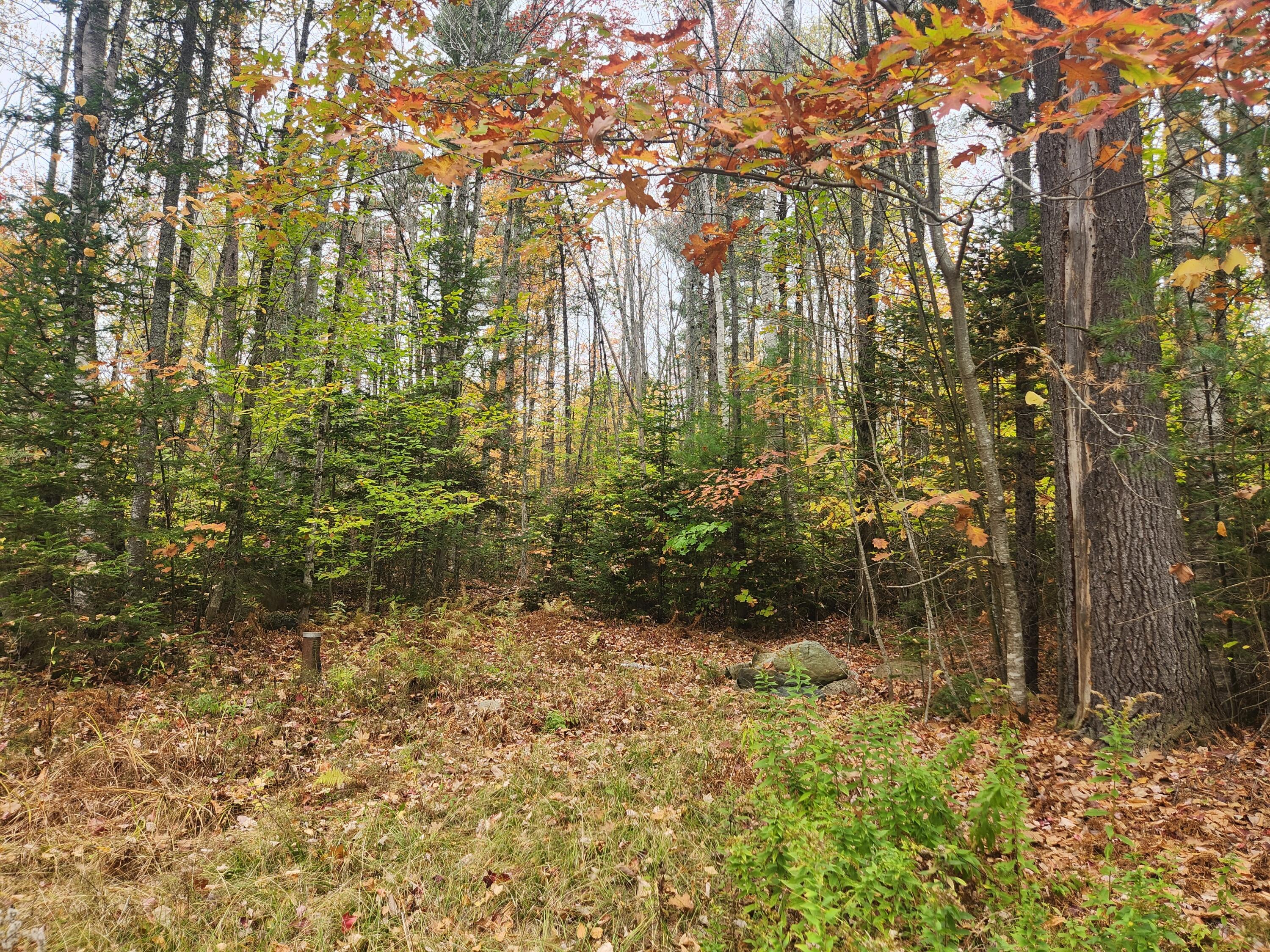 1060 Foster Hill Road Strong, ME 04983 - Photo 18 of 22 20251013_123543