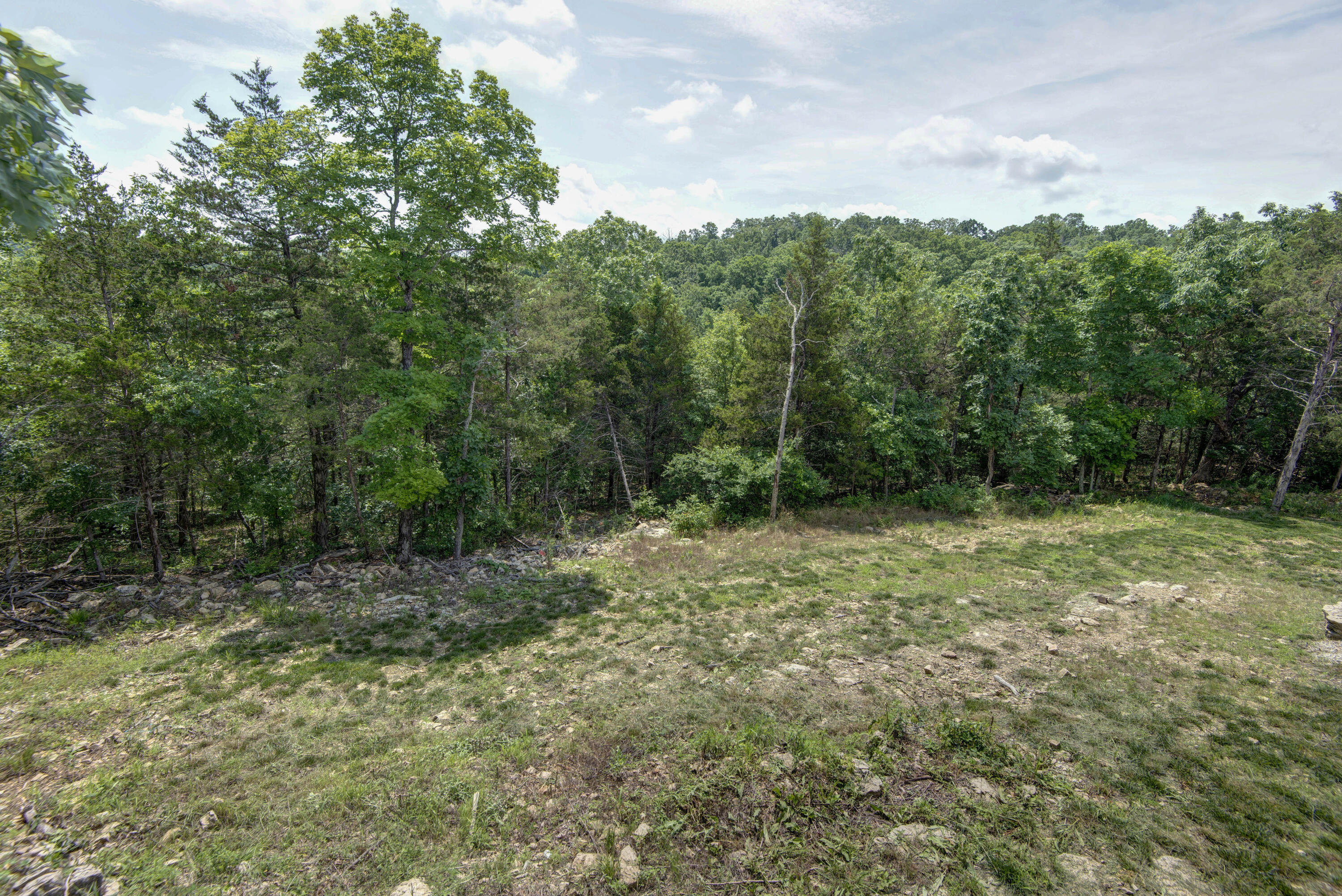 1600 Savage Road Kirbyville, MO 65679 - Photo 26 of 37 Savage (29)