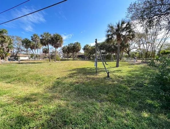 a view of a yard with plants