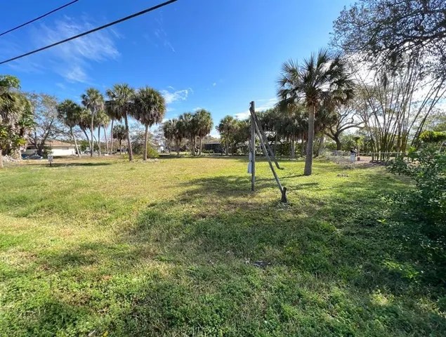 a view of a yard with plants