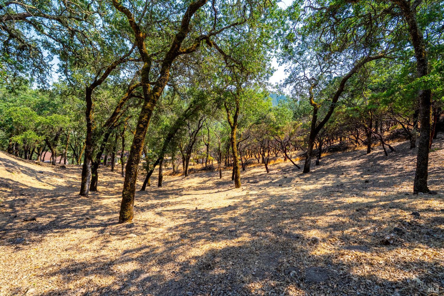 700 Petrified Forest Road Calistoga, CA 94515 - Photo 49 of 58
