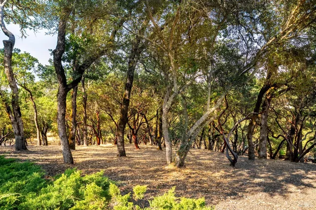 $1,699,000 | 700 Petrified Forest Road, Calistoga, CA 94515