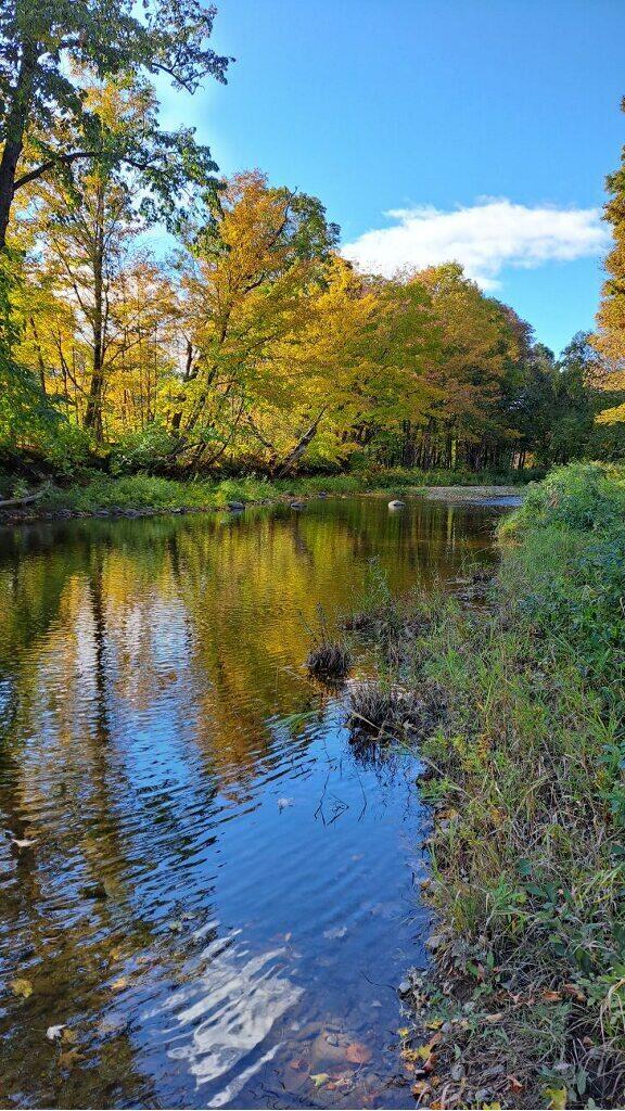 0 Sawyers Mills Road Starks, ME 04911 - Photo 11 of 14 Lemon Stream