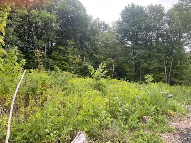 $60,000 | 5745 Highway 104, Scriba, NY 13126