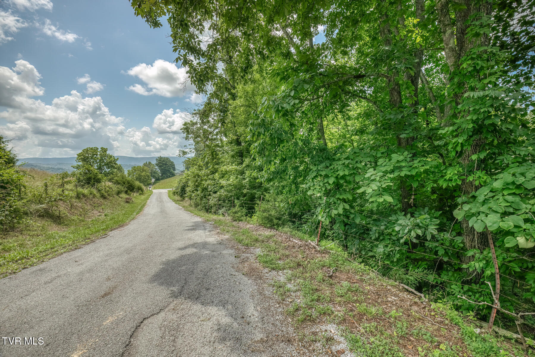 2083 Bundren Mountain Road Tazewell, TN 37879 - Photo 28 of 42 2083 Bundren Mountain Rd-23