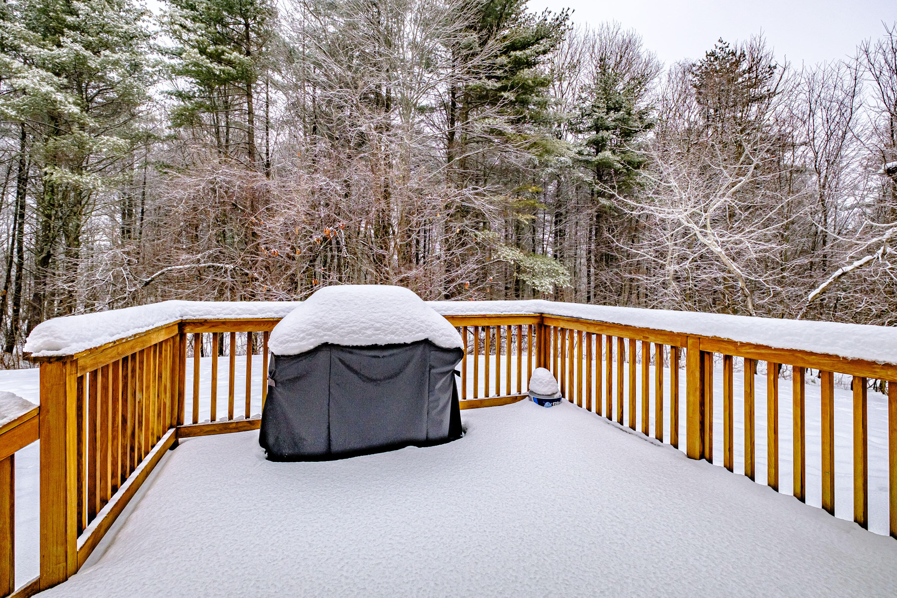 38 Fengler Road Scarborough, ME 04074 - Photo 41 of 41 20211228gp-60030