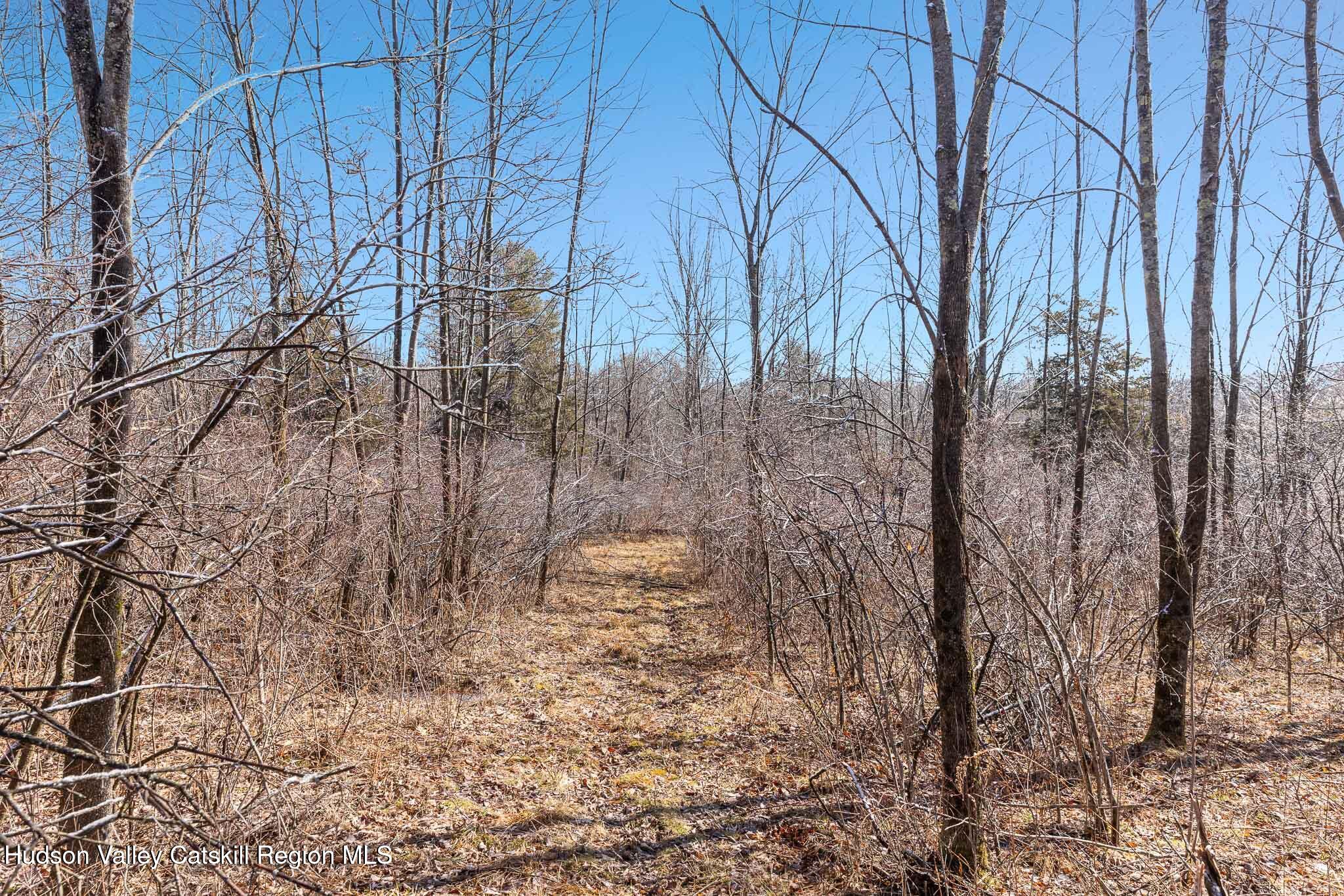 Lot 2 Snydertown Road Craryville, NY 12521 - Photo 17 of 20 a backyard of a house