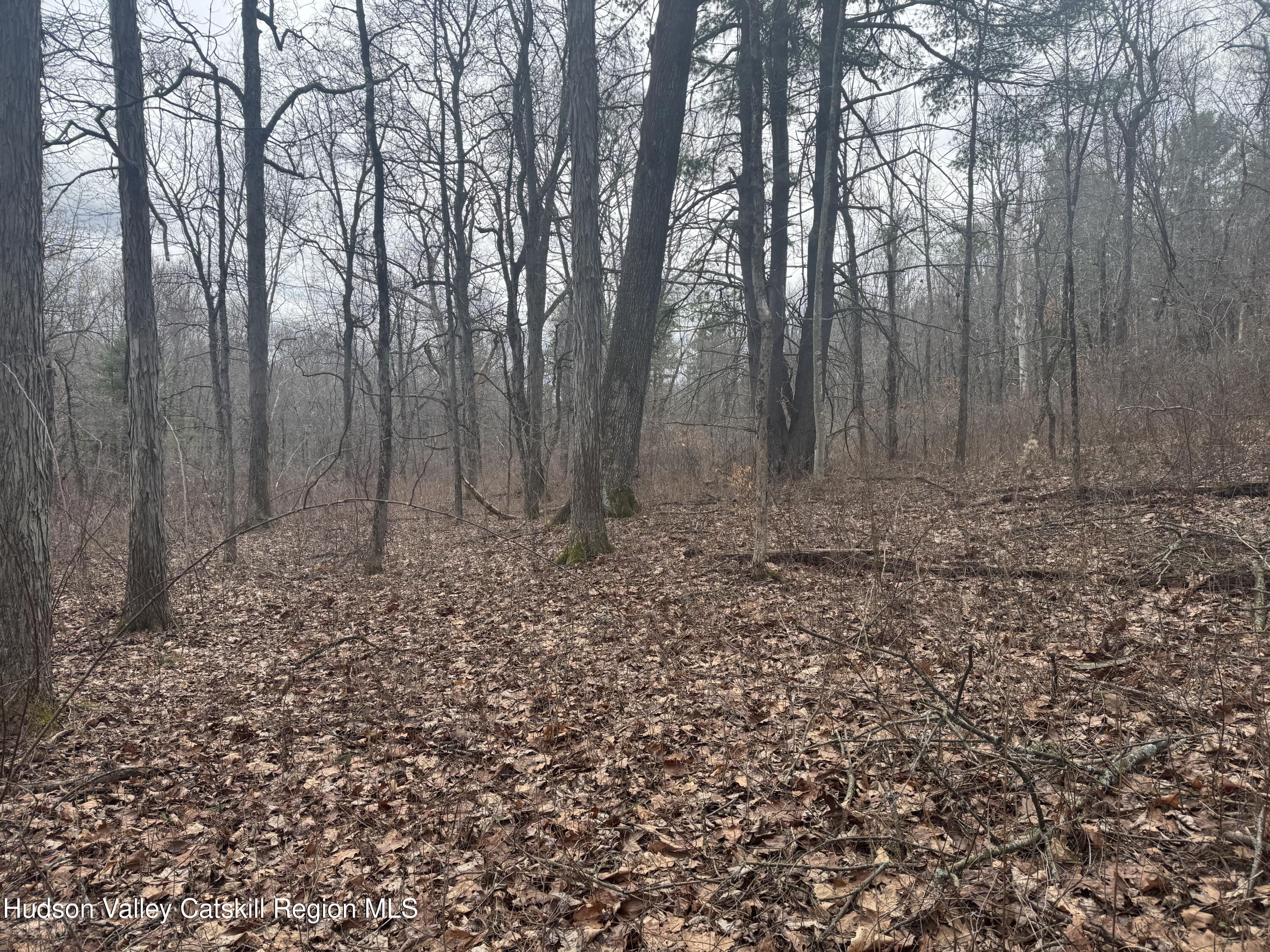 Lot 2 Snydertown Road Craryville, NY 12521 - Photo 20 of 20 a view of outdoor space with trees