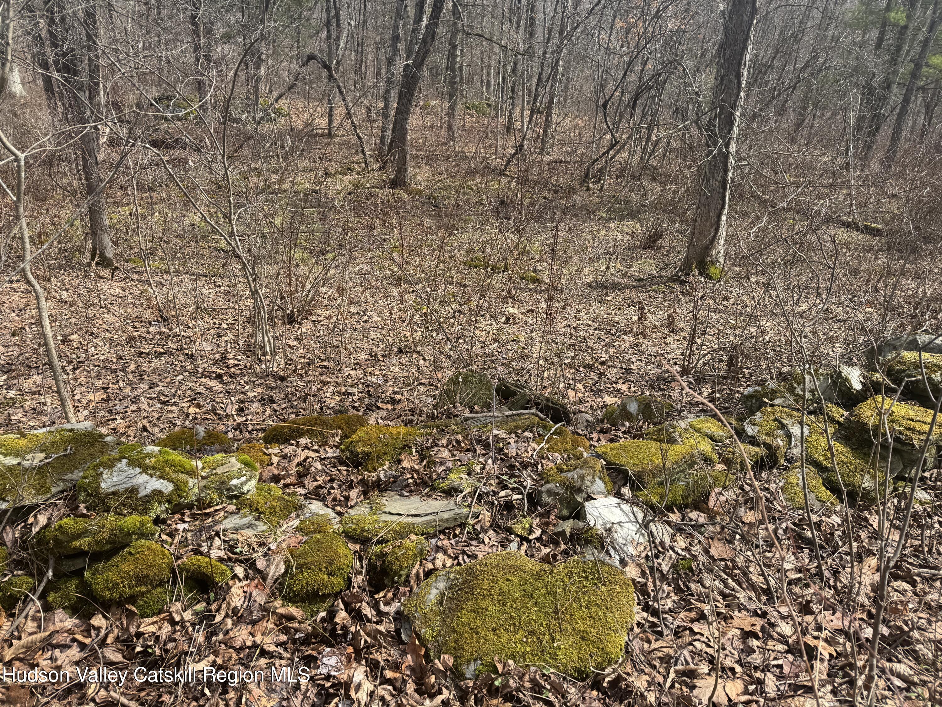 Lot 2 Snydertown Road Craryville, NY 12521 - Photo 3 of 20 a view of a yard with plants and wooden fence