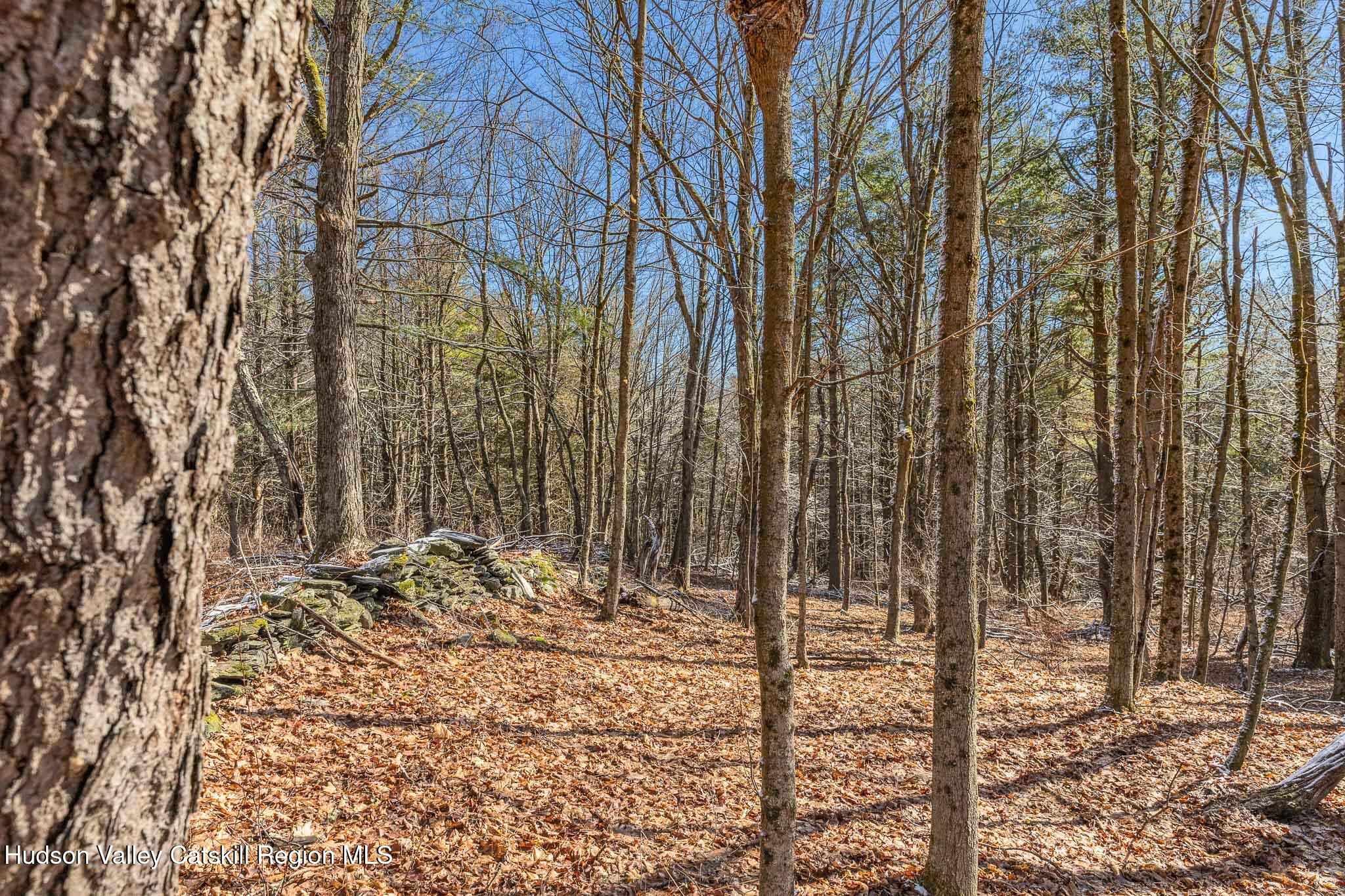 Lot 2 Snydertown Road Craryville, NY 12521 - Photo 4 of 20 a view of a backyard of the house