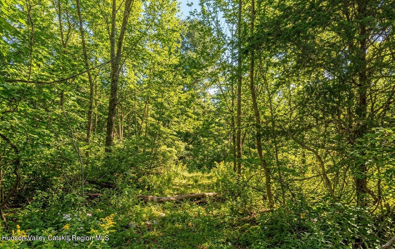 Lot 2 Snydertown Road Craryville, NY 12521 - Photo 9 of 20 a view of a lush green forest