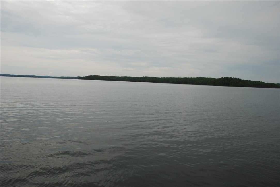 15946 Pace's Point Road Dadeville, AL 36853 - Photo 17 of 33 Water And Trees View