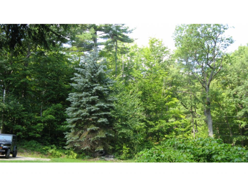 372 Stockbridge Corner Road Alton, NH 03809 - Photo 13 of 29