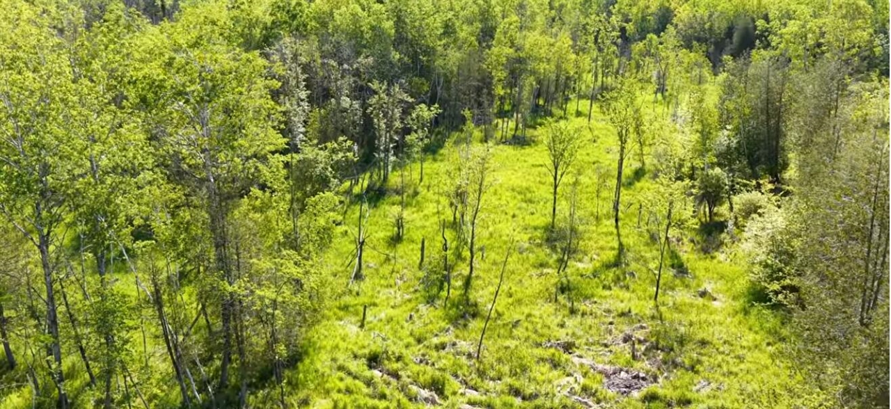 0 20 20 Mile Road Marion, MI 49665 - Photo 7 of 28