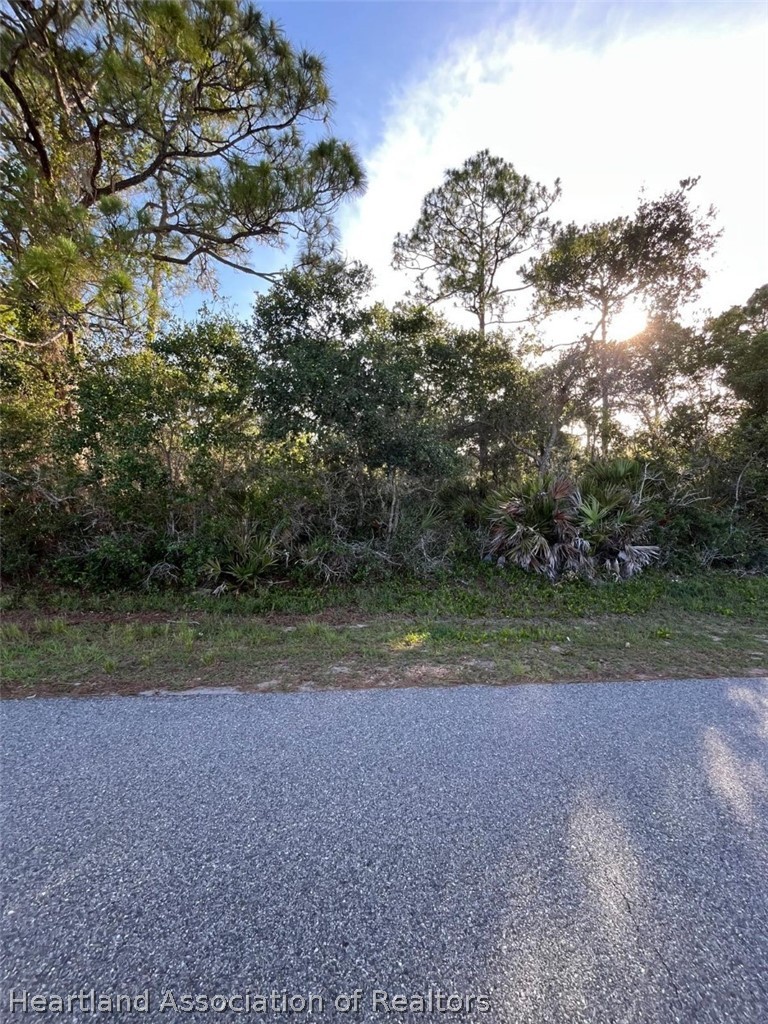 4521 Bream Avenue Sebring, FL 33870 - Photo 4 of 4