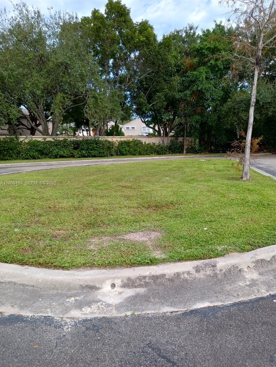 8191 Wiles Road Coral Springs, FL 33067 - Photo 5 of 5 Photo 5