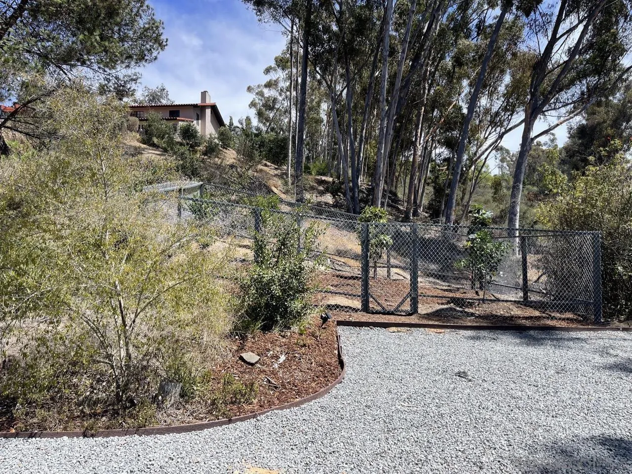 6611 Lago Corte Rancho Santa Fe, CA 92091 - Photo 36 of 38 a view of a yard with large trees