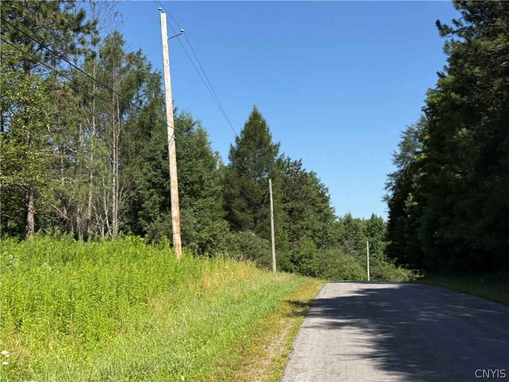 French Settlement Road Lorraine, NY 13659 - Photo 8 of 15 Electric by the road