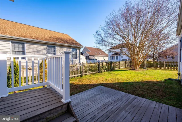 a view of a yard with a large tree