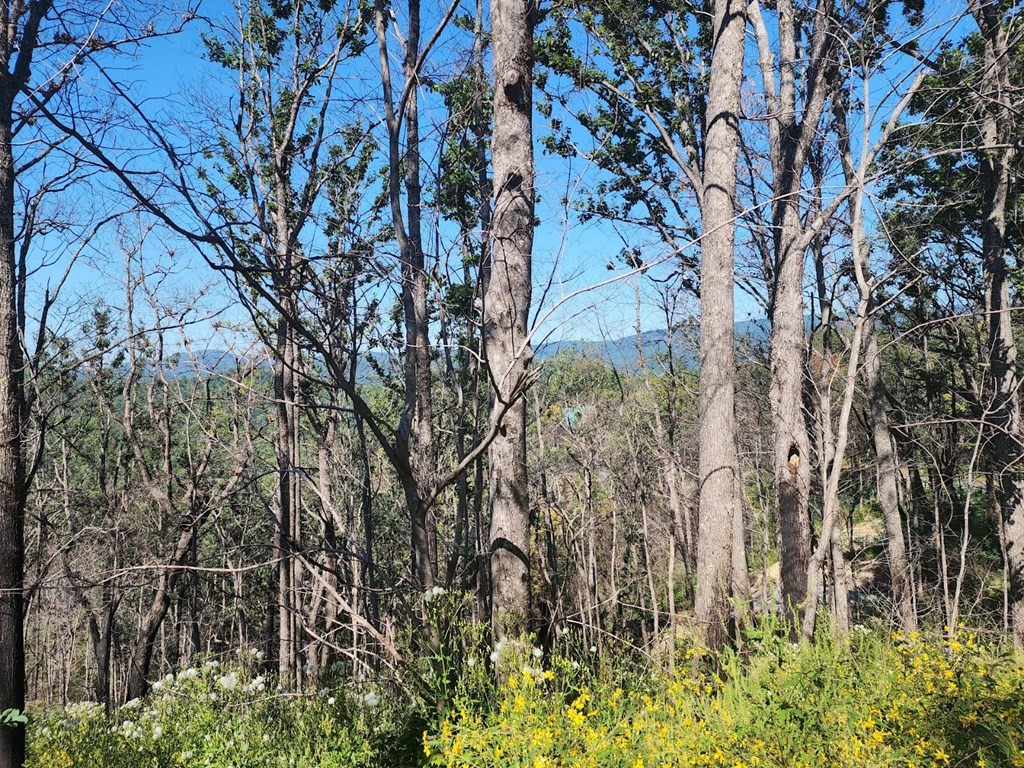 0 Headrick Lead Road Sevierville, TN 37862 - Photo 5 of 13