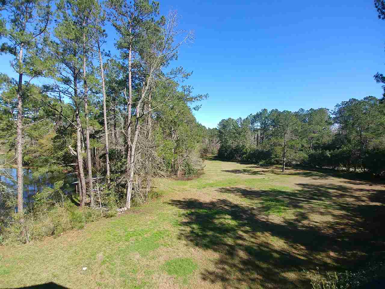 349 Frank Smith Road Quincy, FL 32352 - Photo 7 of 18 Gallery Image 7