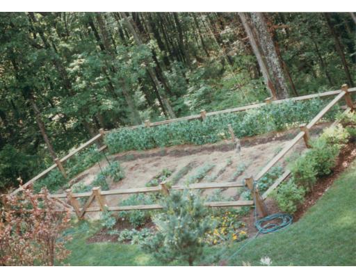 135 Willis Road Sudbury, MA 01776 - Photo 26 of 26 Gallery Image 26