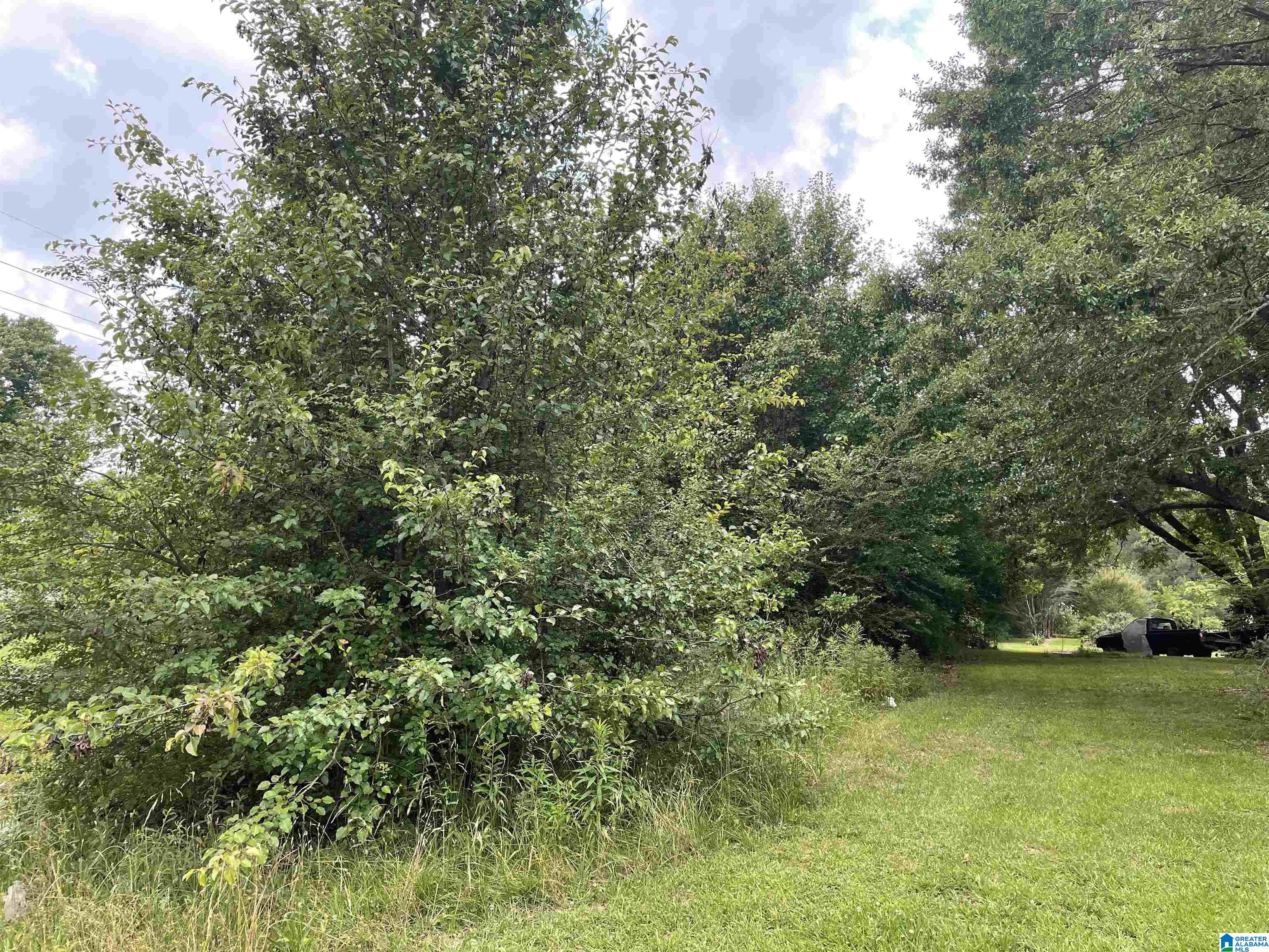 589 Flint Hill Road Bessemer, AL 35022 - Photo 2 of 4