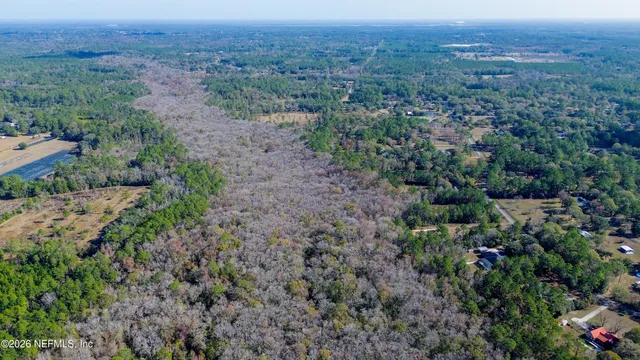 an aerial view of forest