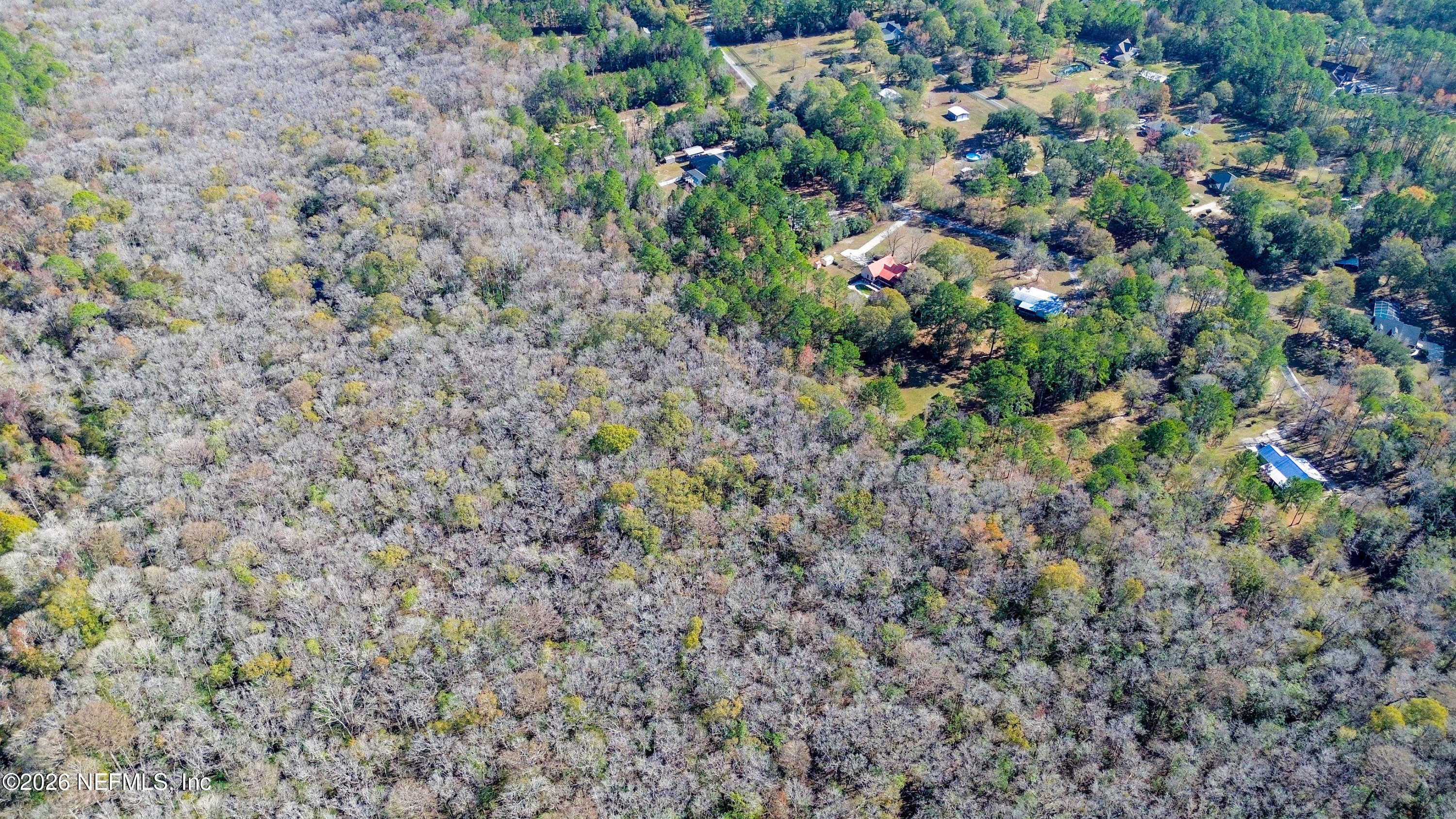 7847 Red Top Road Macclenny, FL 32063 - Photo 14 of 23 a view of a lush green forest