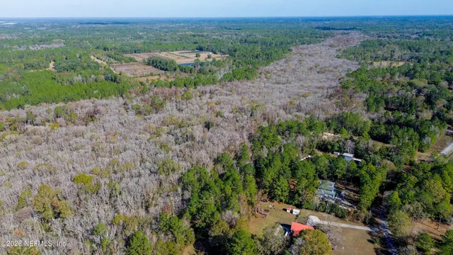 an aerial view of green landscape with trees houses and mountain view