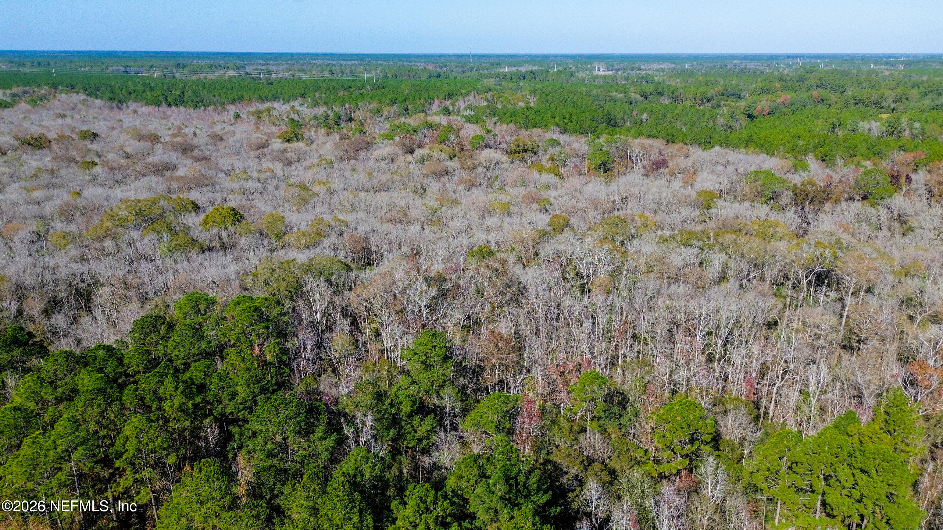 7847 Red Top Road Macclenny, FL 32063 - Photo 19 of 23 a view of a field with a tree in the background